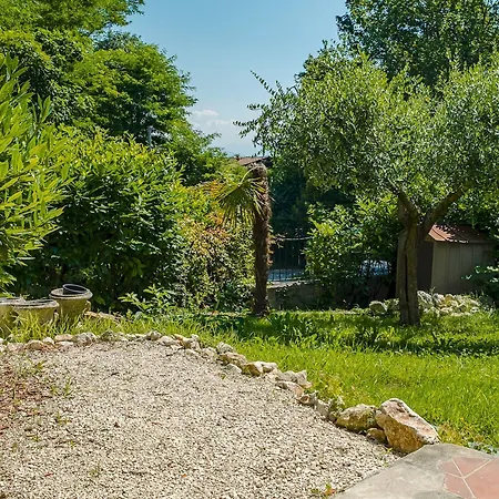 Sentiero Del Monte - Italian Homing